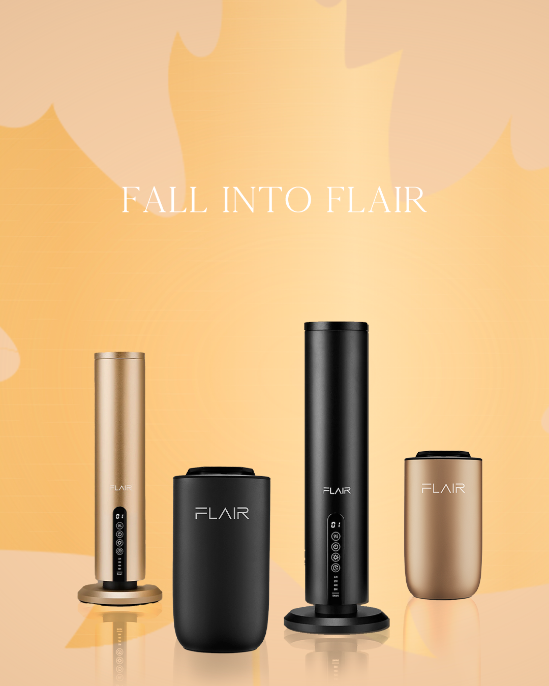 Early access
<br>BLACK FRIDAY SALE